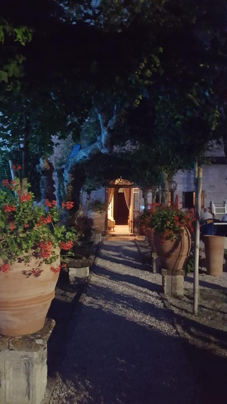 Degli Alessandri House 사소페라토 외부 사진