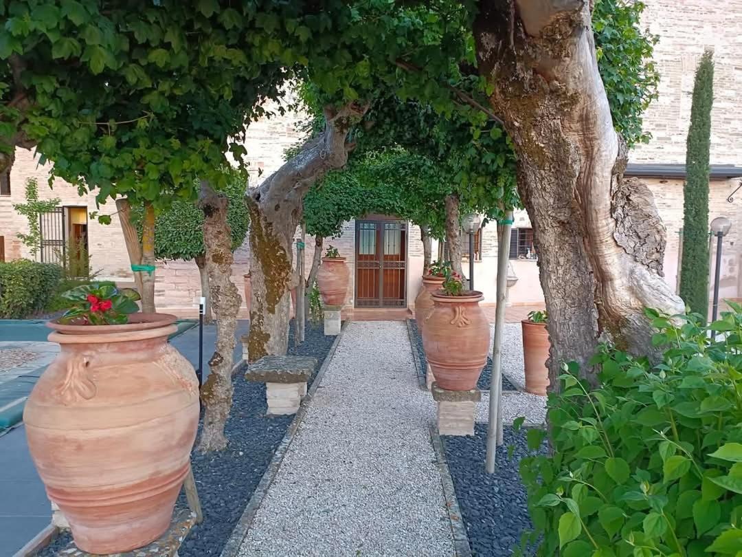 Degli Alessandri House 사소페라토 외부 사진